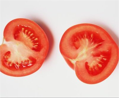 semilla de tomate