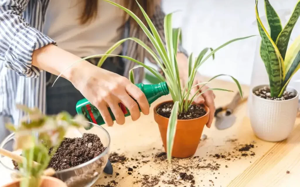 abono liquido para plantas