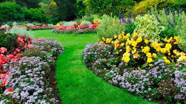 jardin ornamental colores
